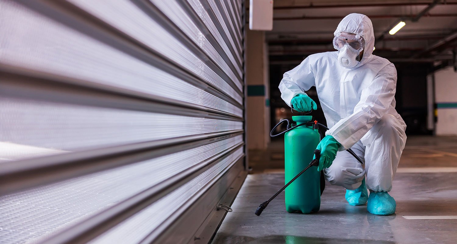 Fast and efficient pest control service