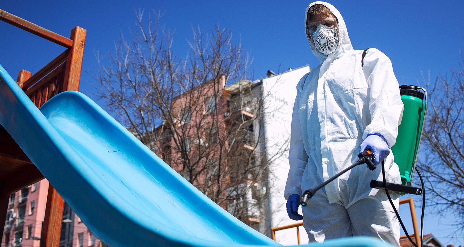 Swift Solutions for a Pest-Free Home